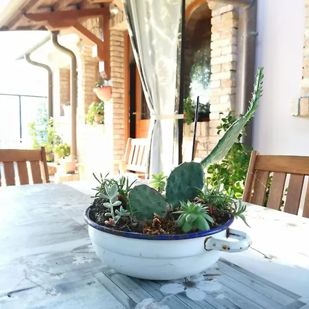 La Casina Del Delta Del Po *